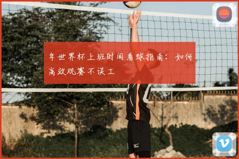 年世界杯上班时间看球指南：如何高效观赛不误工