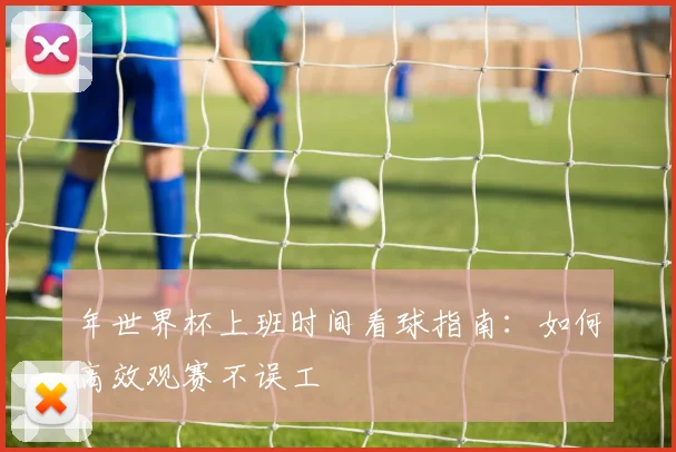 年世界杯上班时间看球指南：如何高效观赛不误工