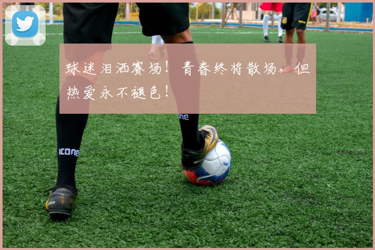 球迷泪洒赛场!青春终将散场,但热爱永不褪色!